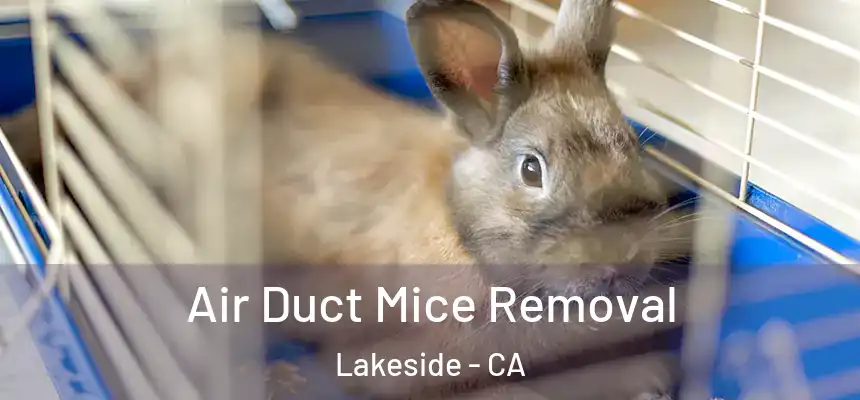 Air Duct Mice Removal Lakeside - CA
