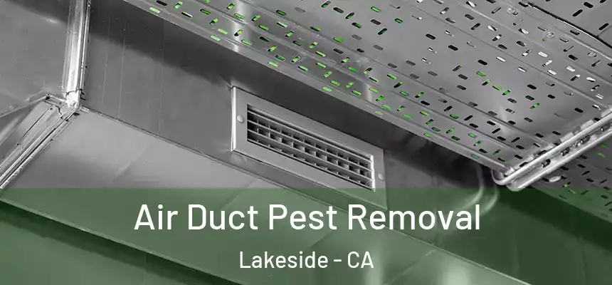 Air Duct Pest Removal Lakeside - CA