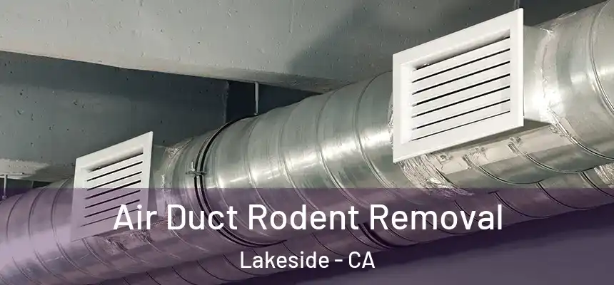 Air Duct Rodent Removal Lakeside - CA