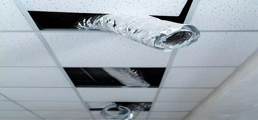 Our Air Duct Pet Hair Removal Services in Lakeside, CA