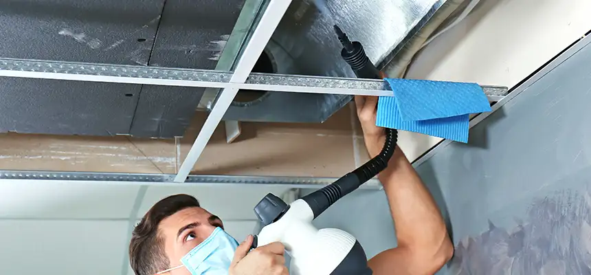 Our Air Duct Rodent Removal Services in Lakeside, CA