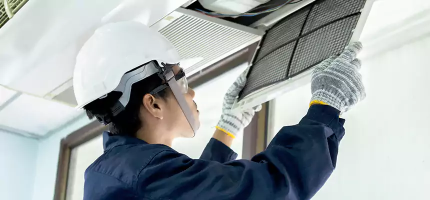 Our Mold & Mildew Removal from Air Ducts Services in Lakeside, CA