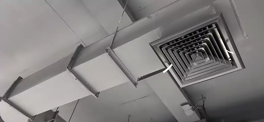 Our Pest Removal From Ducts Services in Lakeside, CA