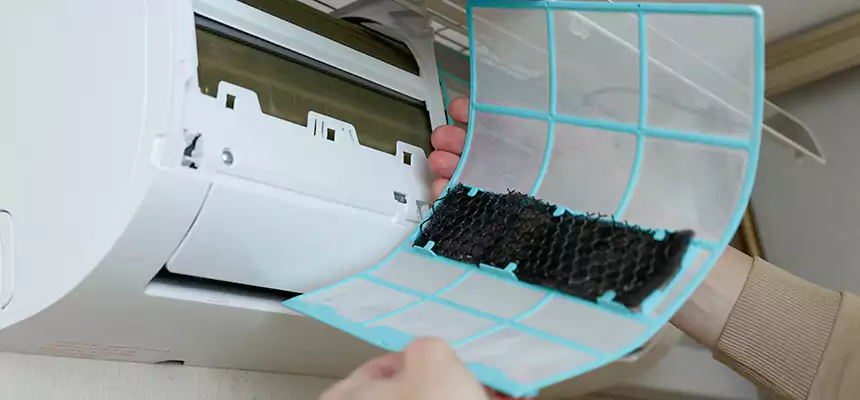 Gentle Ductwork Odor-Control Pet Dander Duct Cleaning in Lakeside, CA