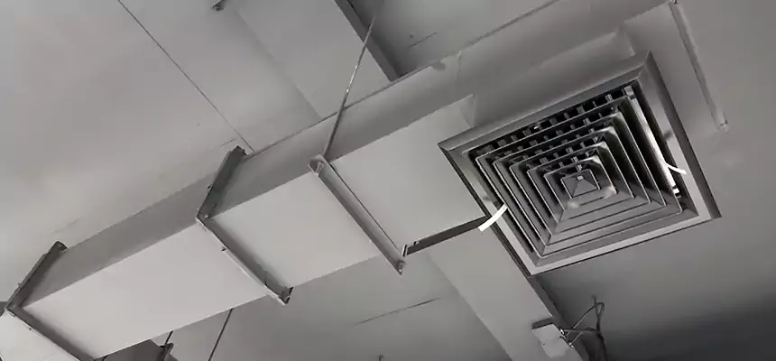 Our Rodent Droppings In Vents Services in Lakeside, CA