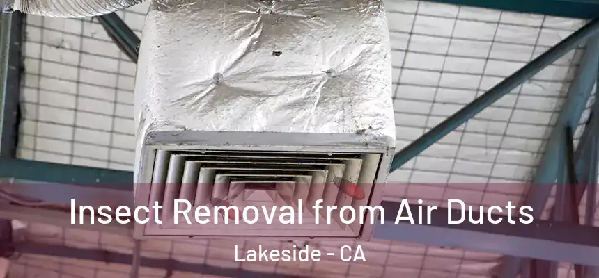 Insect Removal from Air Ducts Lakeside - CA