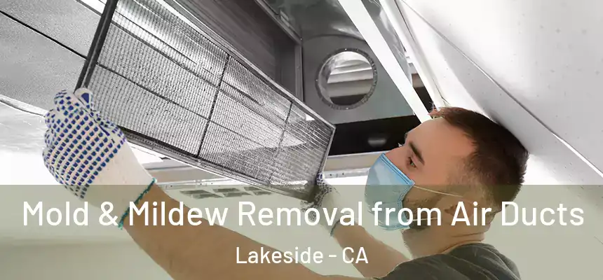 Mold & Mildew Removal from Air Ducts Lakeside - CA