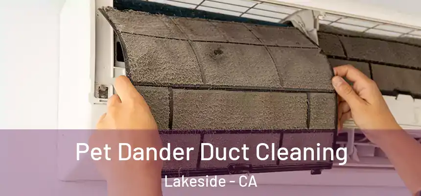 Pet Dander Duct Cleaning Lakeside - CA
