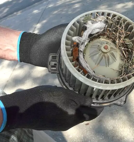 About Air Duct Rat Removal in Lakeside, CA