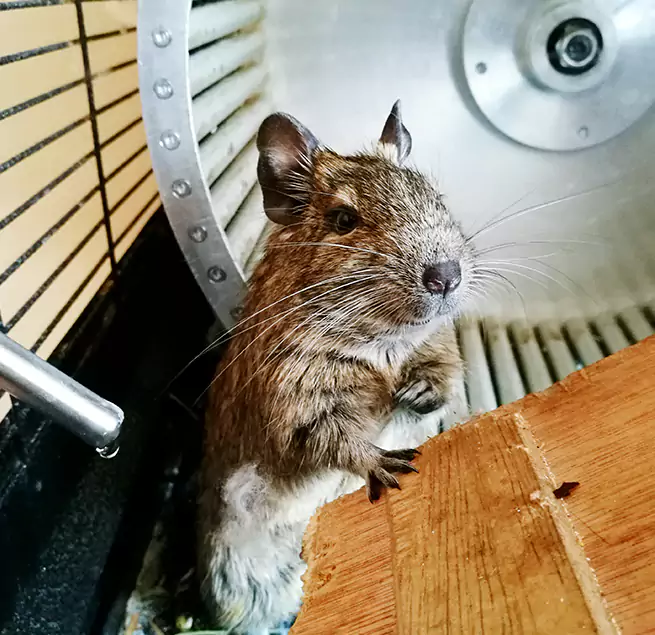 Why Homeowners & Businesses Trust Us Lakeside, CA