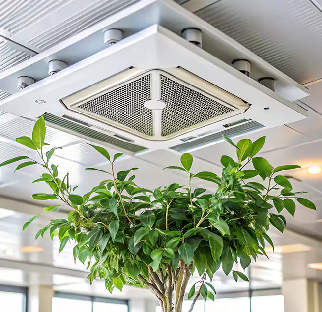 Why Homeowners & Businesses Trust Us in Lakeside, CA