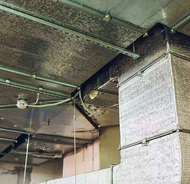 Why Homeowners & Businesses Trust Us in Lakeside, CA?